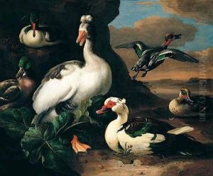 A River Landscape With A Brown Goose, Muscovy, Teal, Mallard And Other Fowl
