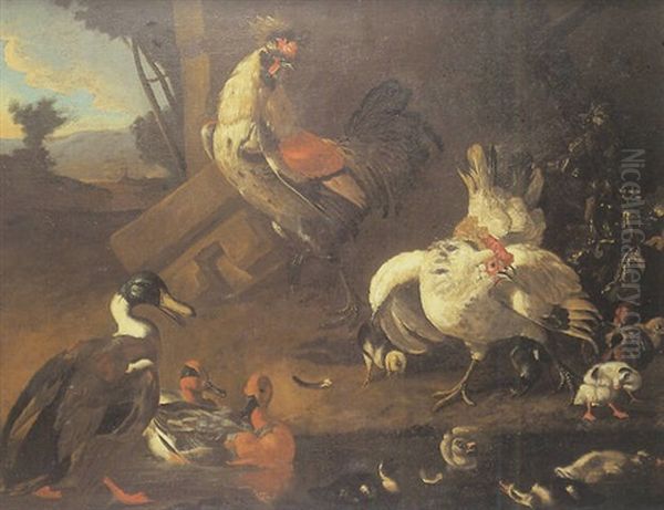 Poules Et Canards Dans Une Ferme - view 1