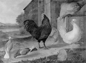 Huhnerhof by Melchior de Hondecoeter