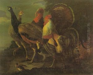 Hahn, Pfauen Und Truthahn Vor Landschaft