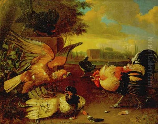 Aguila Y Gallos Luchando - view 1
