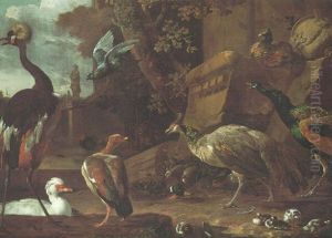 An East African Crane, A White Snow Goose, A Dutch Goose, A Mallard Duck, Peacock, A Pheasant, A Turkey And A Pigeon In A Park An East African Crane, A White Snow Goose, A Dutch Goose, A Mallard Duck, Peacock, A Pheasant, A Turkey And A Pigeon In A Park