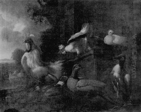 A Cockerel, Hens, Pigeons, A Pheasant And A Mallard In A Yard - view 1