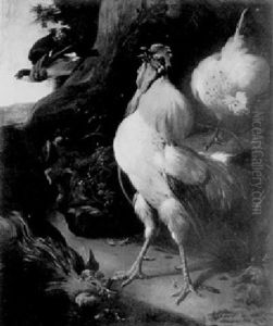 Coq Dans Un Paysage Coq Dans Un Paysage