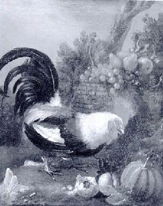 Cockerel With Fruit by Melchior de Hondecoeter