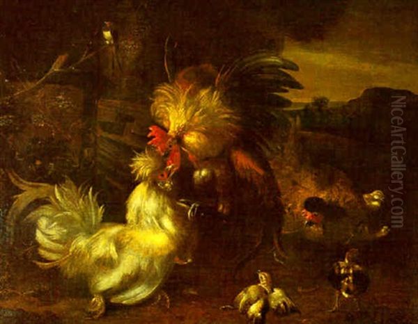 Coq, Poules Et Poussins - view 1