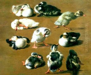 Studie Von 10 Kuken In Verschiedenen Positionen by Melchior de Hondecoeter