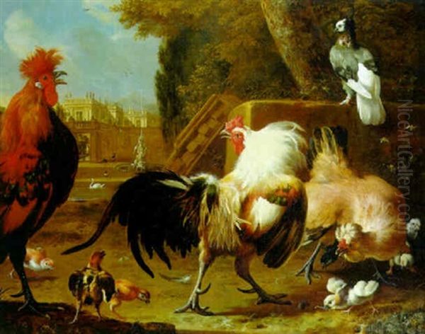 Cockerels Fighting Over A Hen And Chicks In A Garden - view 1