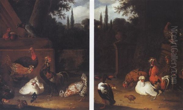 Farmyard Fowl In A Garden Setting - view 1