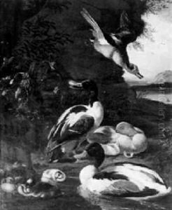 Wildentenfamilie Am Flussufer