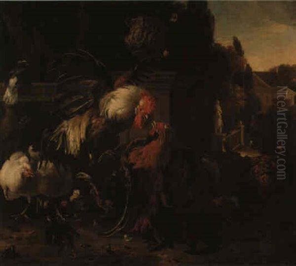 Cockerels Fighting In A Park Setting - view 1