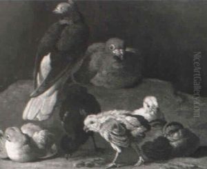 Pigeons With Chicks by Melchior de Hondecoeter