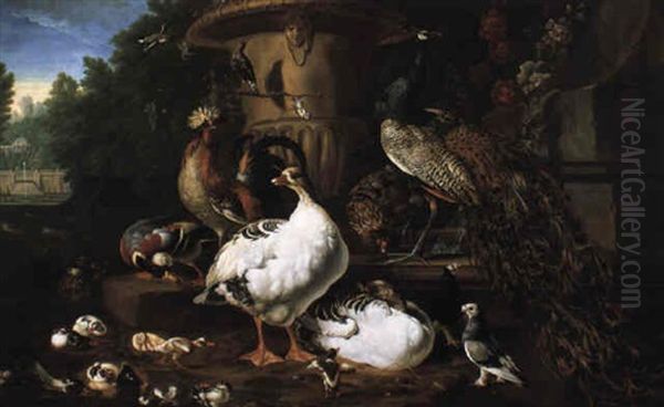 A Peacock And Other Exotic Birds In Elaborate Parkland Setting - view 1