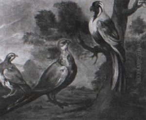 Una Quaglia, Un Fagiano Ed Un Pagallo 'en Plein Air' Una Quaglia, Un Fagiano Ed Un Pagallo 'en Plein Air'
