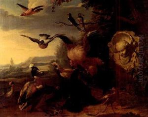 The Raven Robbed Of Its Feathers The Raven Robbed Of Its Feathers