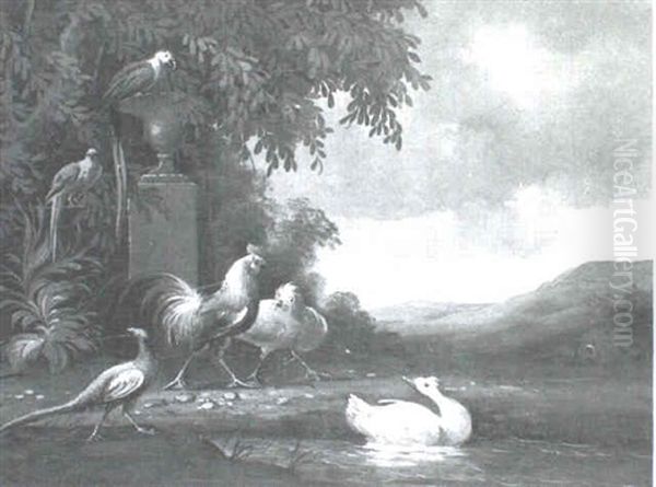 A Group Of Birds Assembled By The Water - view 1