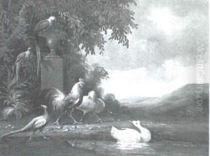 A Group Of Birds Assembled By The Water A Group Of Birds Assembled By The Water