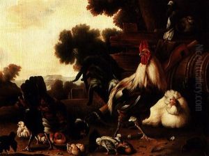 Farmyard Poultry Farmyard Poultry