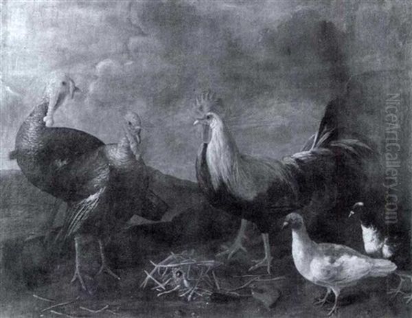 Rooster, Pigeons And Turkeys In A Landscape - view 1