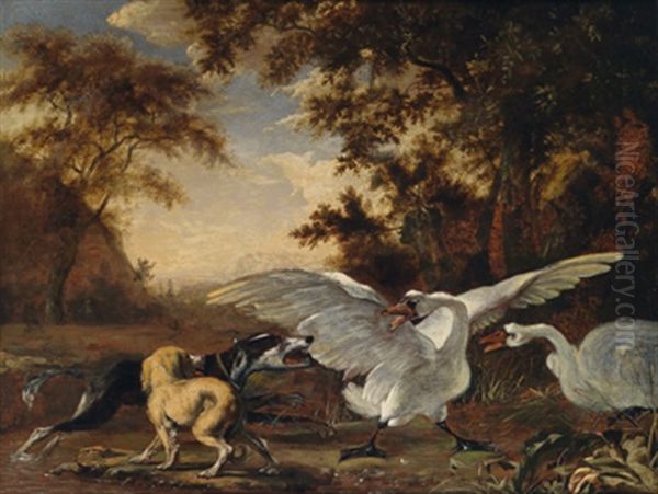 Zwei Jagdhunde Bedrohen Zwei Schwane In Einer Waldlandschaft - view 1