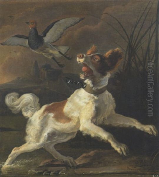 Jagdhund Mit Aufgestobertem Vogel Im Schilf - view 1