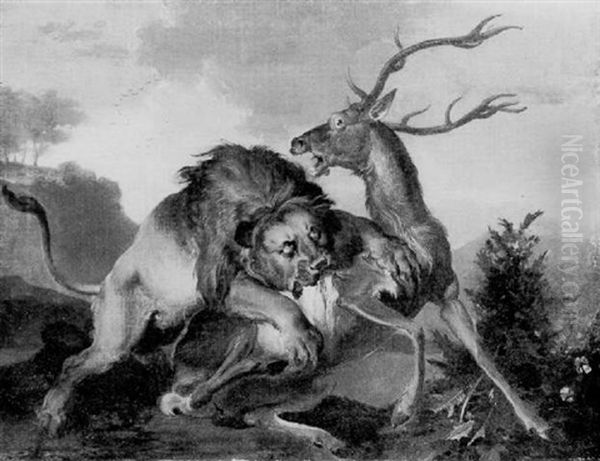 A Lion Bringing Down A Stag - view 1