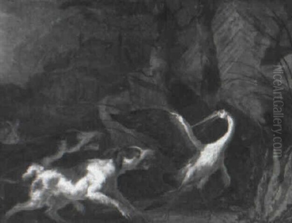 Dogs Attacking A Heron - view 1