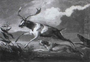 Hounds Chasing A Stag