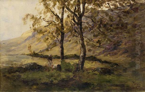 The Silver Birch - view 1