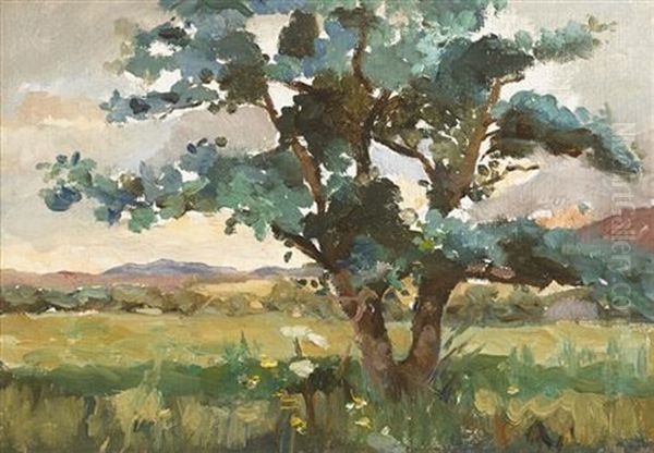 Tree In A Landscape - view 1