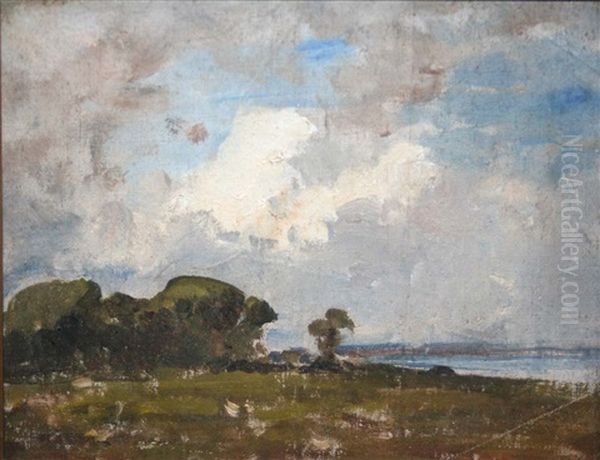Malahide Estuary - view 1