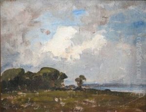 Malahide Estuary