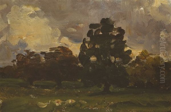 Trees In Malahide, County Dublin - view 1