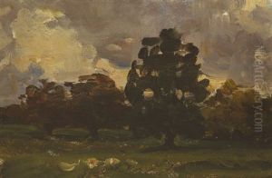Trees In Malahide, County Dublin
