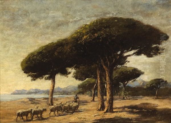 Stone Pines, Near Cannes, France - view 1