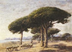Stone Pines, Near Cannes