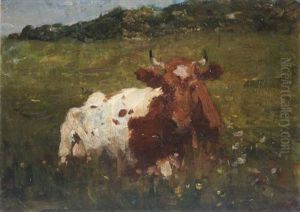 A Contented Cow