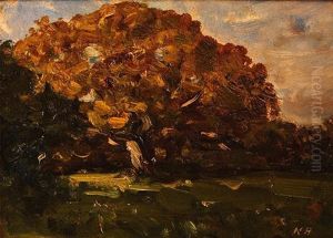 Tree In A Landscape