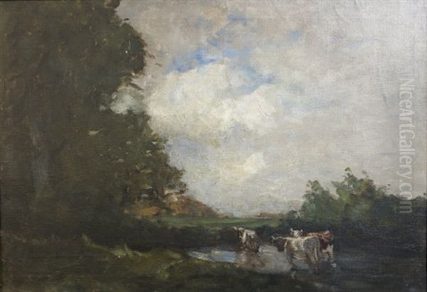 Cattle Watering Near Trees - view 1