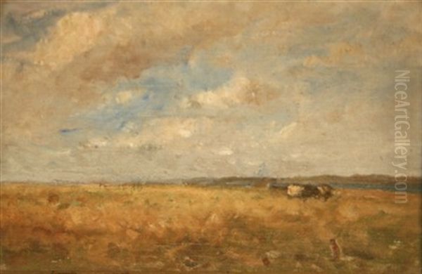 Cattle Grazing, Malahide - view 1
