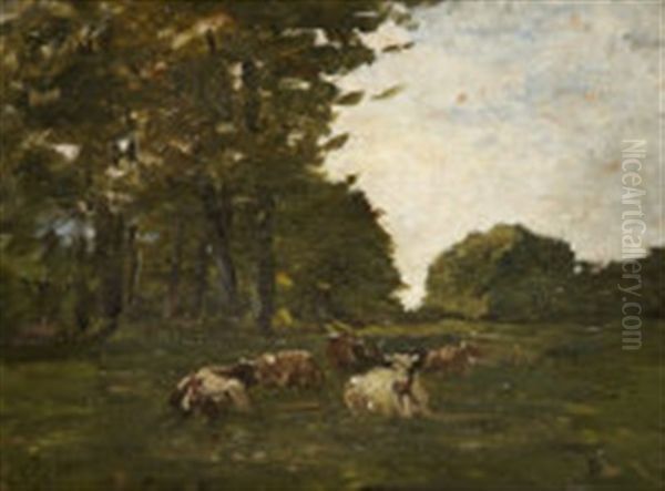 Cattle Seated Under Trees - view 1