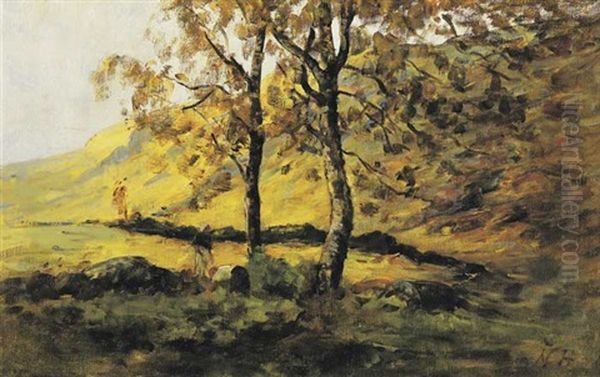 The Silver Birch - view 1