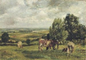Cows Grazing Cows Grazing