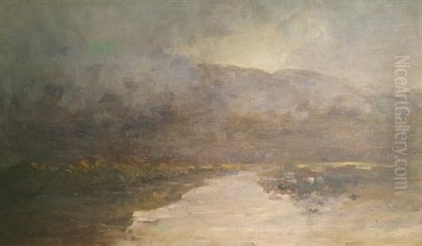 Low Clouds Over A Bog - view 1