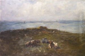 Cattle Resting On A Headland With Distant Yachts