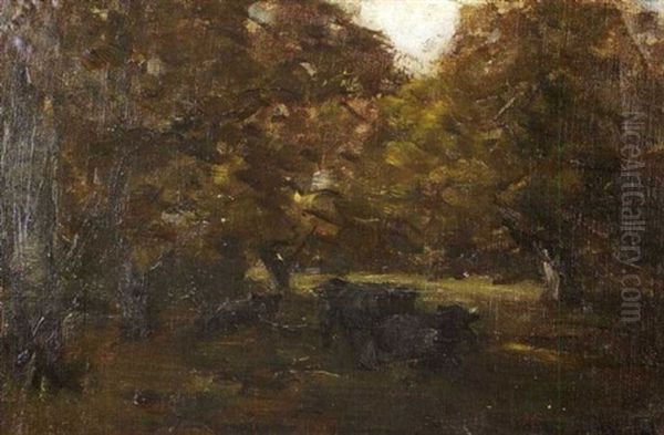 Cattle Grazing Under Trees - view 1