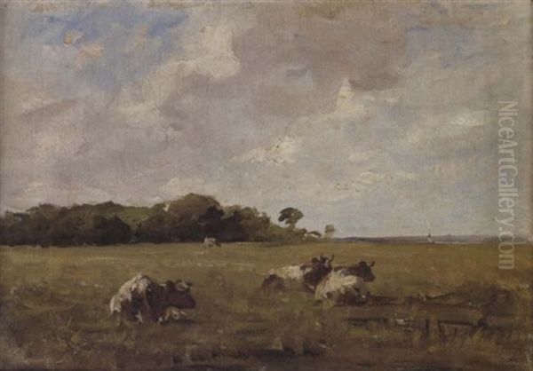 Cows At Malahide - view 1
