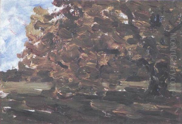 Study Of Trees - view 1