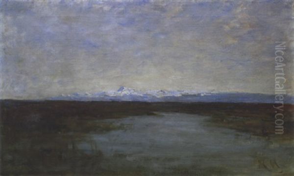 Ox Mountains And Bog Scene - view 1
