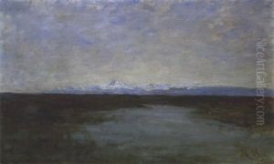 Ox Mountains And Bog Scene